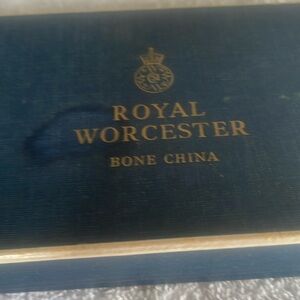 Vintage royal Worchester bone China